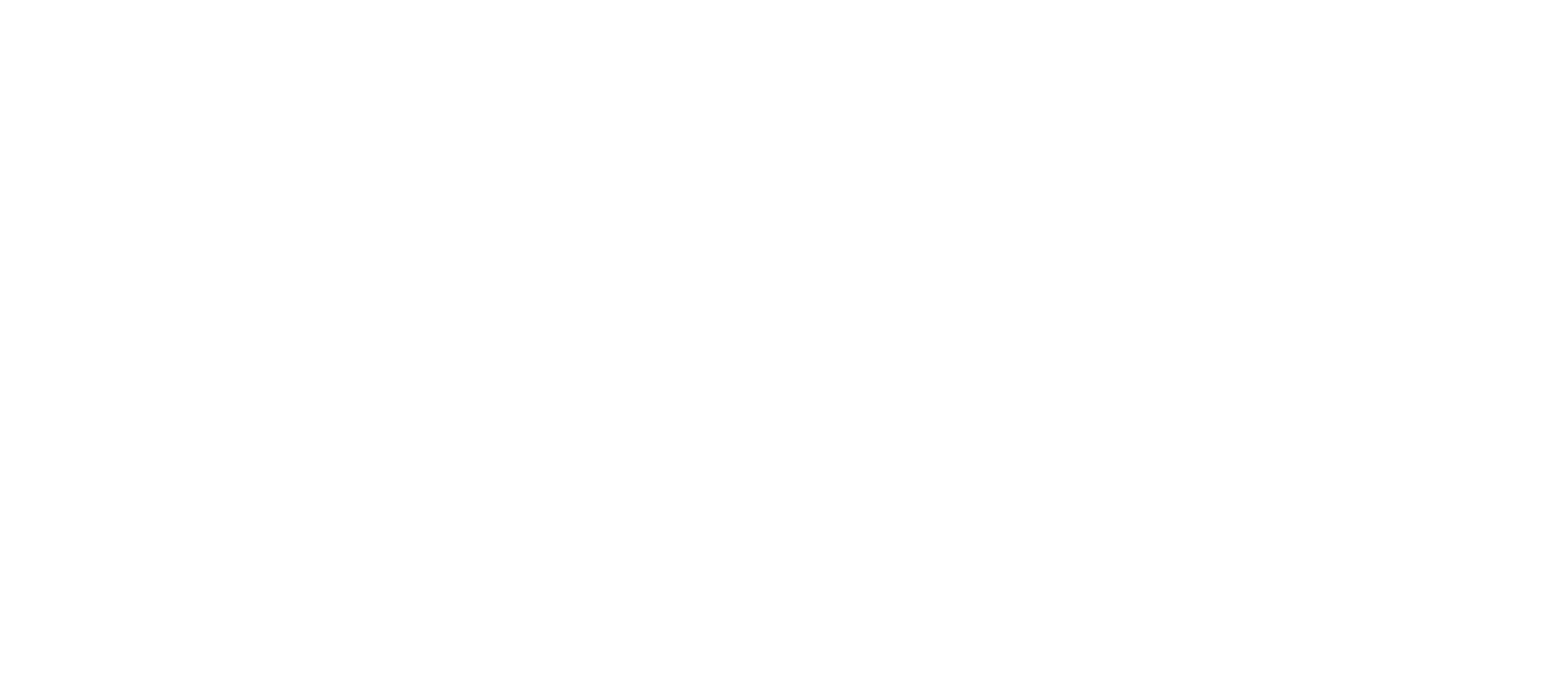Pelvic Physio Magnus Logo